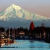 joycebarton56